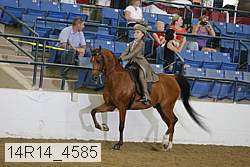14r14_4585 proof