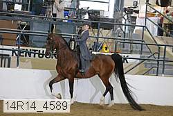 14r14_4589 proof