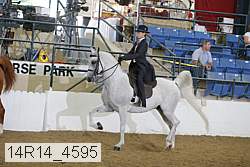 14r14_4595 proof