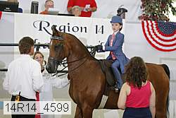 14r14_4599 proof