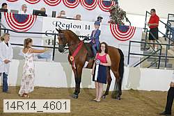 14r14_4601 proof