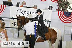 14r14_4606 proof