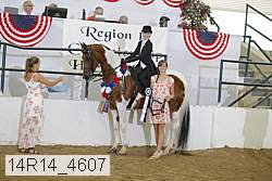 14r14_4607 proof