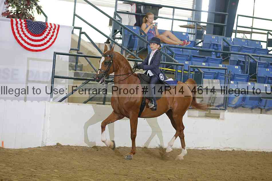 Proof 14r14_4614