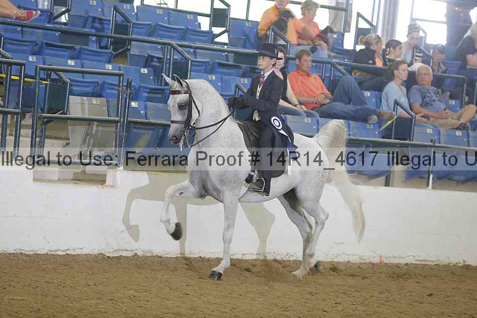 Proof 14r14_4617