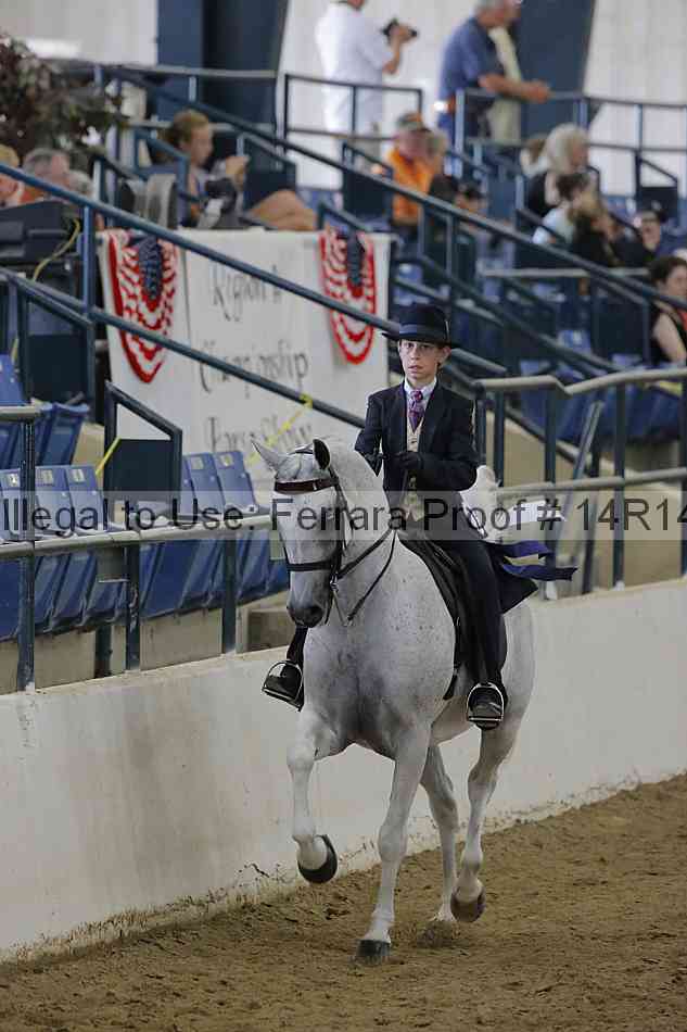 Proof 14r14_4619