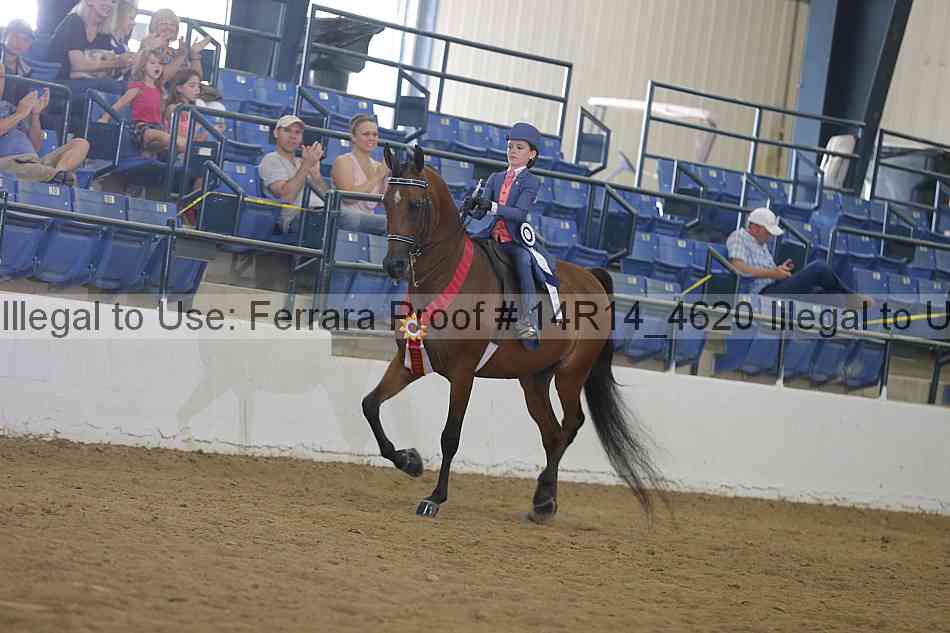 Proof 14r14_4620