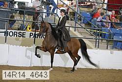 14r14_4643 proof
