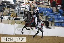 14r14_4704 proof
