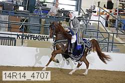 14r14_4707 proof