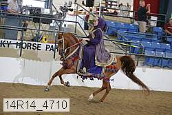 14r14_4710 proof