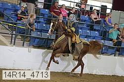 14r14_4713 proof