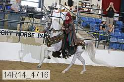 14r14_4716 proof