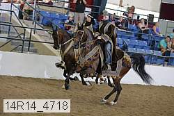 14r14_4718 proof