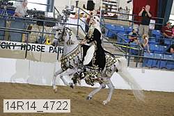14r14_4722 proof