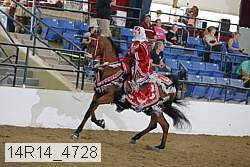 14r14_4728 proof
