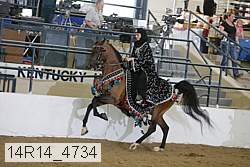 14r14_4734 proof