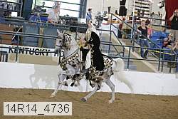 14r14_4736 proof