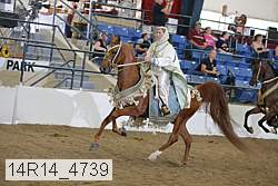 14r14_4739 proof