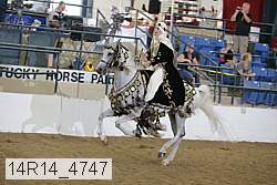 14r14_4747 proof