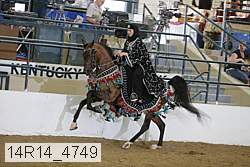 14r14_4749 proof