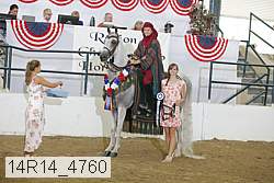 14r14_4760 proof