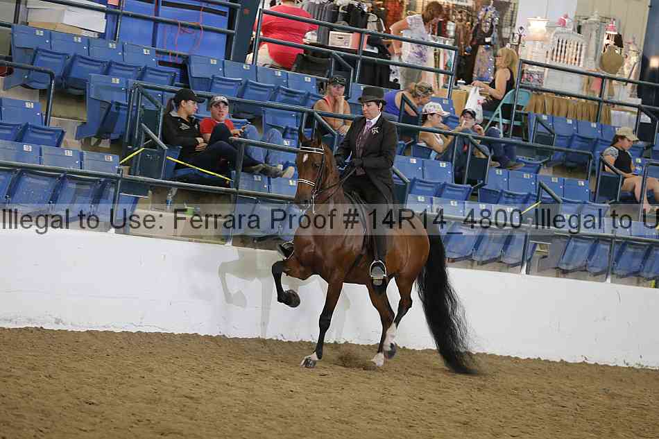 Proof 14r14_4800