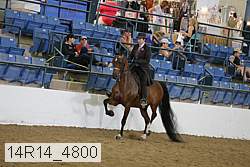 14r14_4800 proof