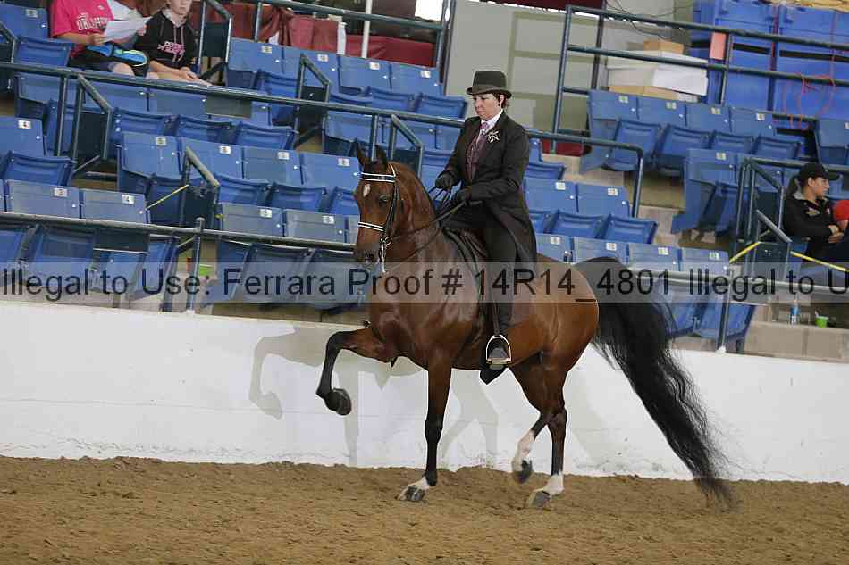 Proof 14r14_4801