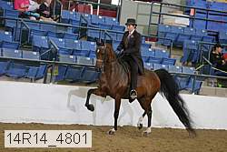 14r14_4801 proof
