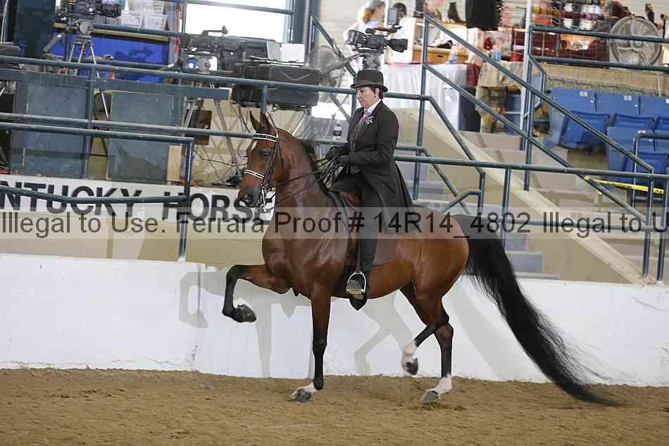 Proof 14r14_4802