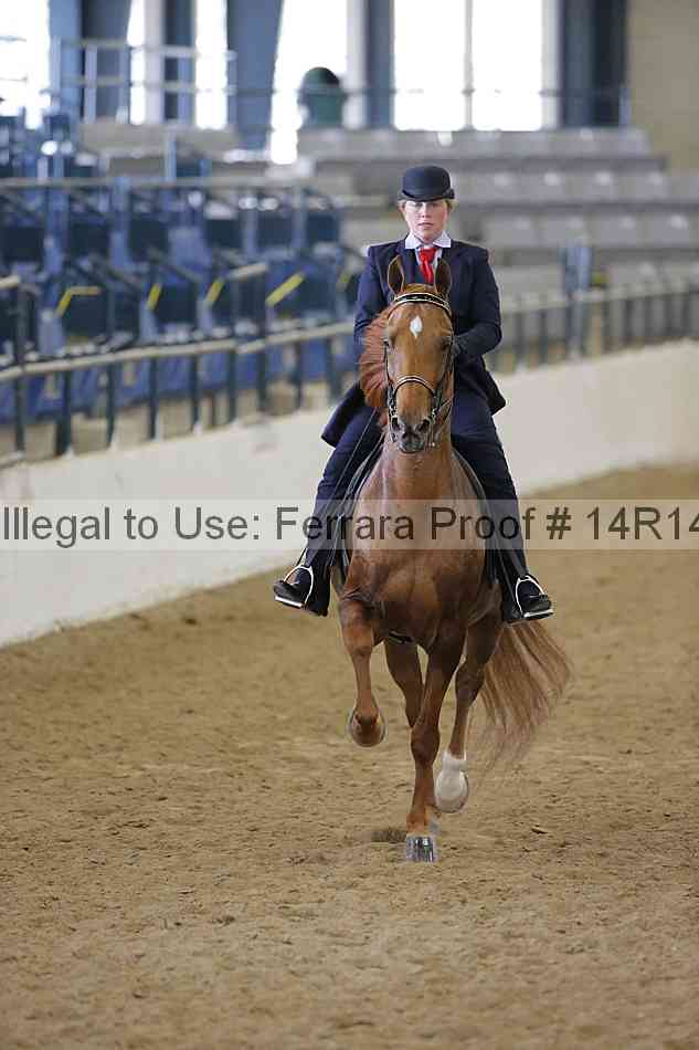 Proof 14r14_4803