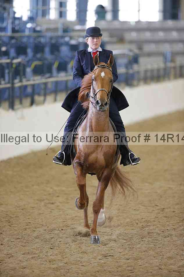 Proof 14r14_4804