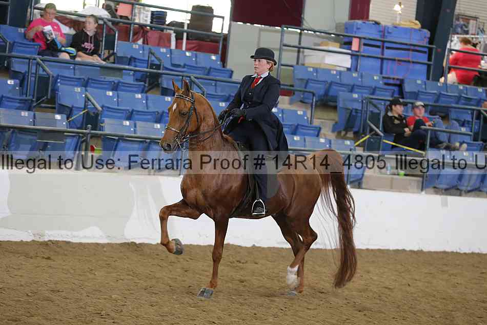 Proof 14r14_4805