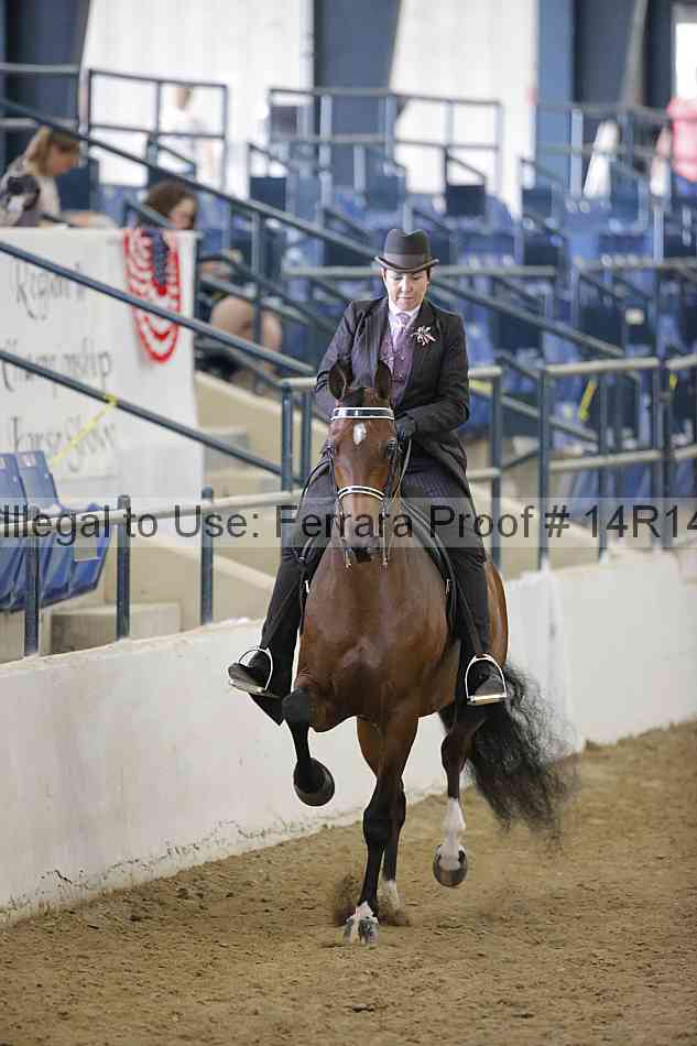 Proof 14r14_4806
