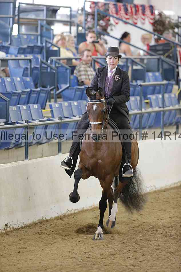 Proof 14r14_4807