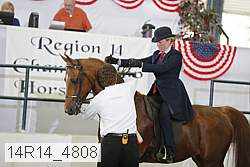14r14_4808 proof