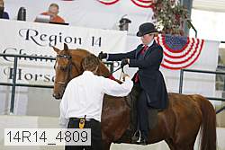 14r14_4809 proof