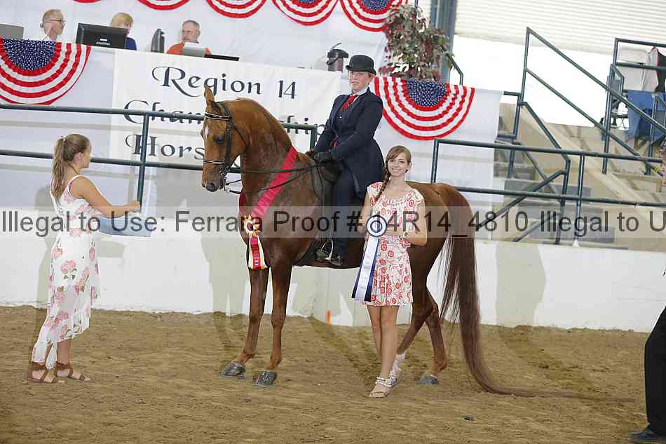 Proof 14r14_4810