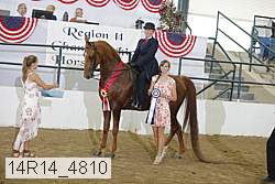 14r14_4810 proof