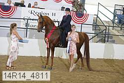 14r14_4811 proof