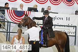 14r14_4812 proof