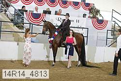 14r14_4813 proof