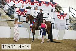 14r14_4814 proof