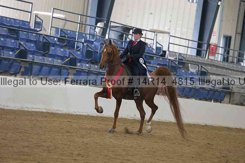Proof 14r14_4815