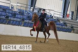14r14_4815 proof