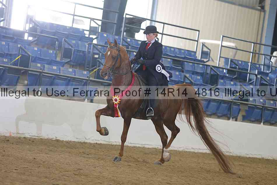 Proof 14r14_4816