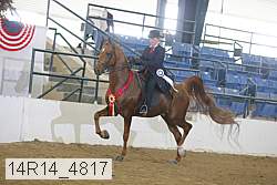14r14_4817 proof