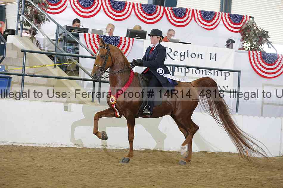 Proof 14r14_4818