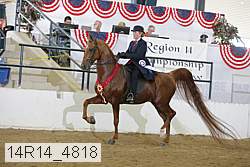 14r14_4818 proof